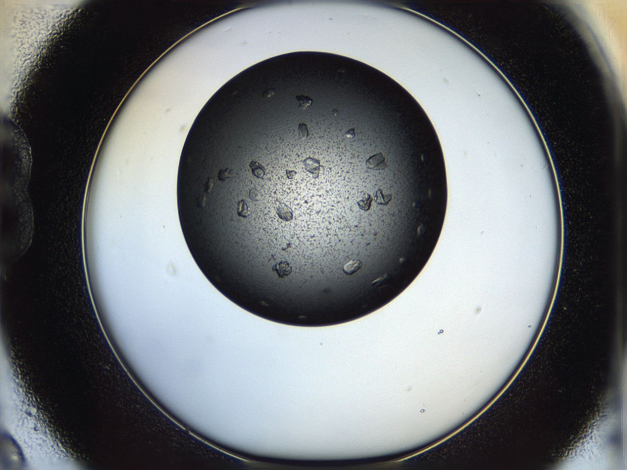 05dm_B9_ImagerDefaults_9.jpg