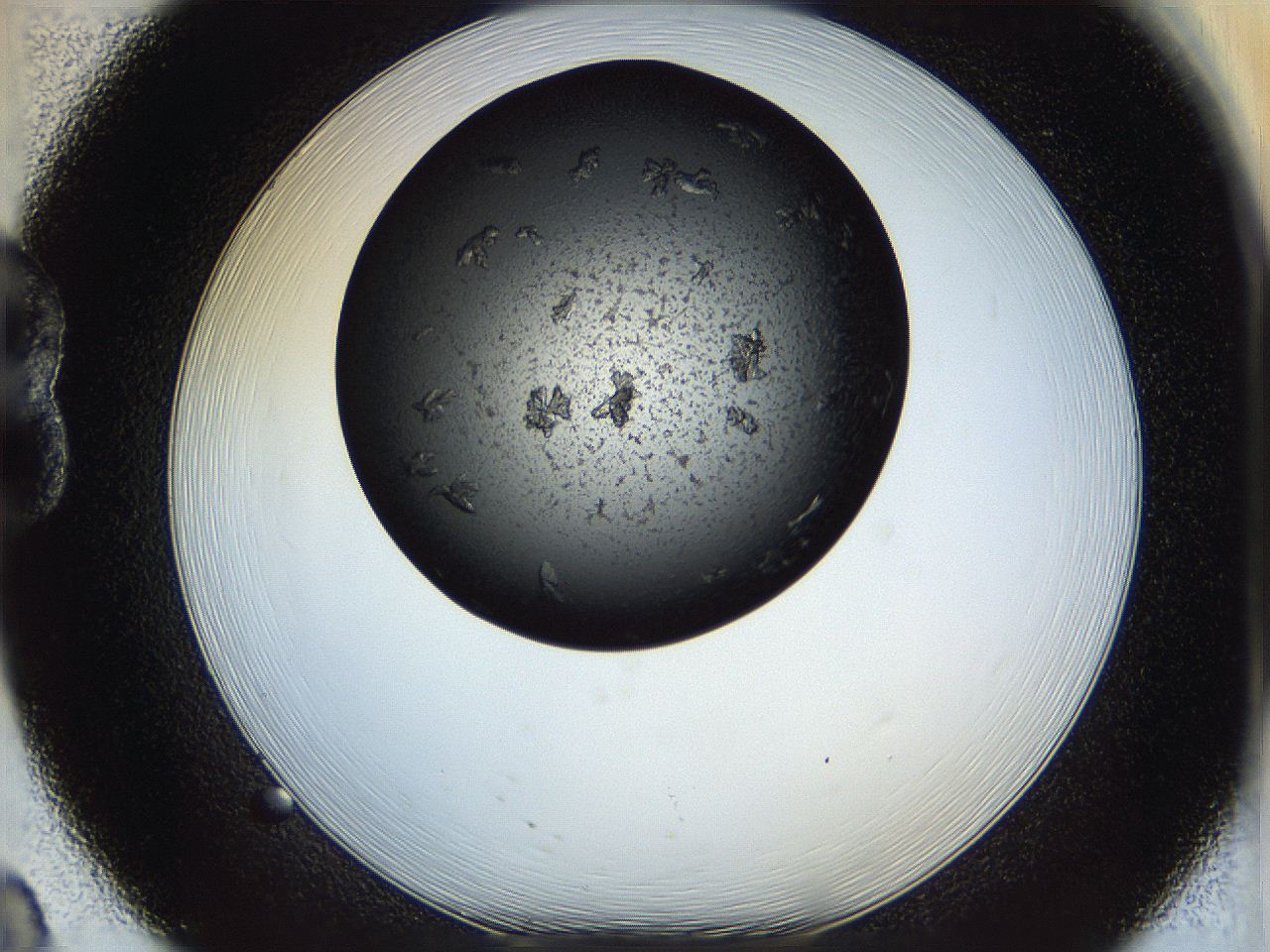 05dm_B8_ImagerDefaults_7.jpg
