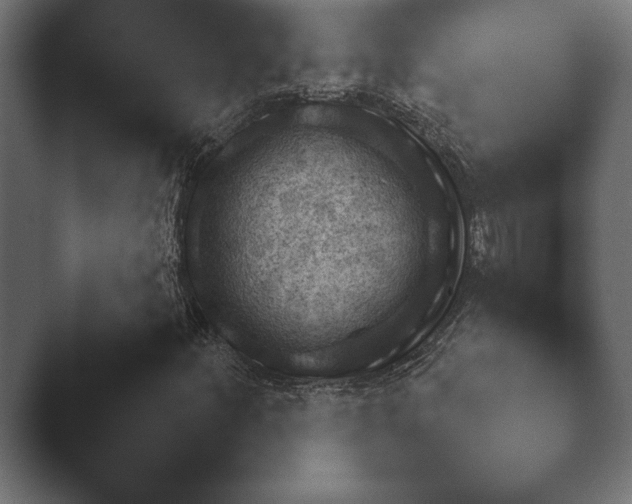 X0000048531252200503171502.png