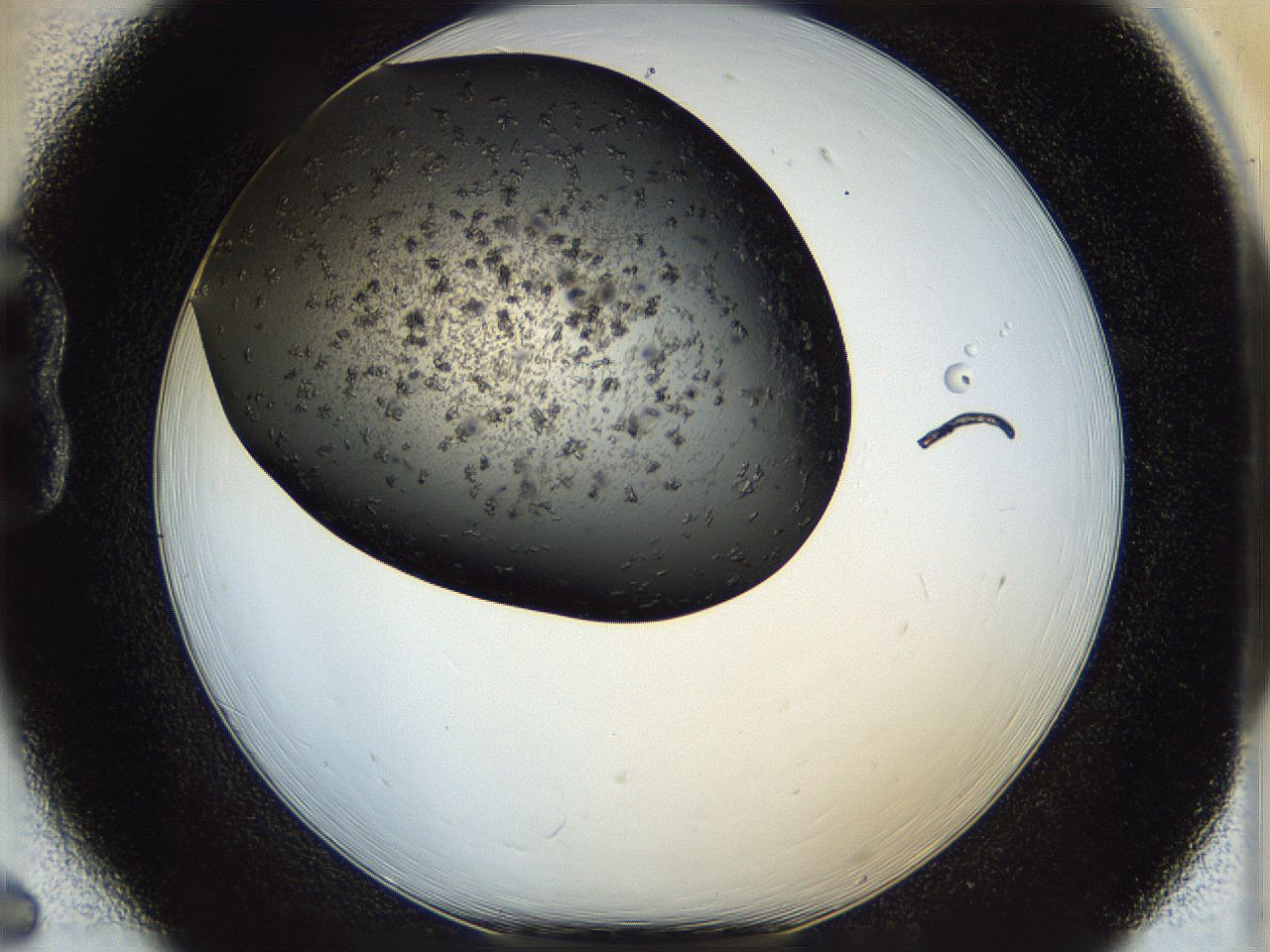 05dm_B6_ImagerDefaults_6.jpg