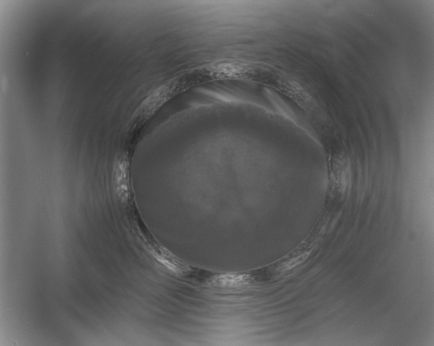 X0000055060526200508161649.png