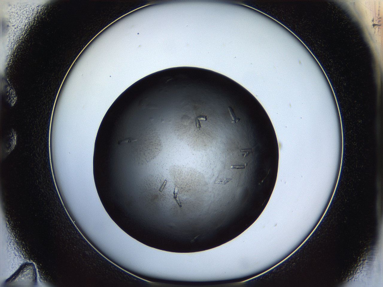 05dn_C11_ImagerDefaults_9.jpg