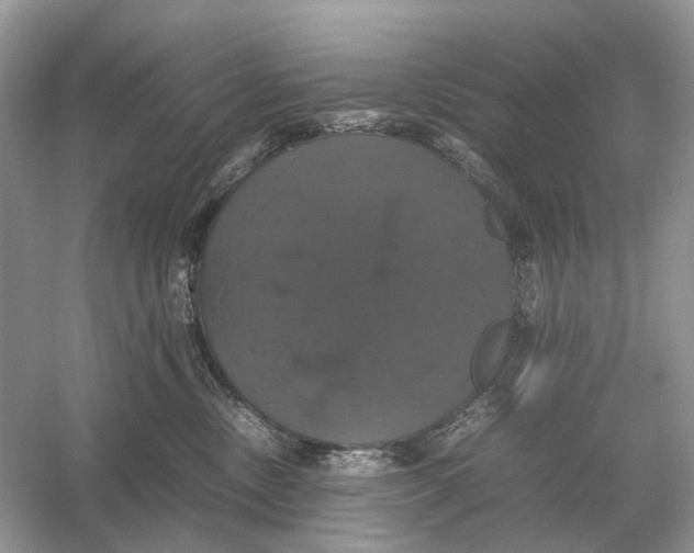 X0000054350378200508190134.png