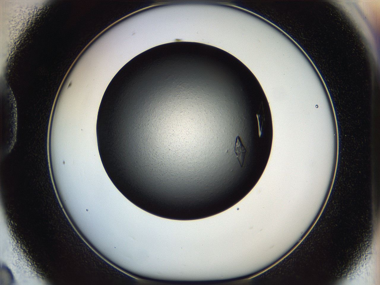 05dn_D8_ImagerDefaults_9.jpg