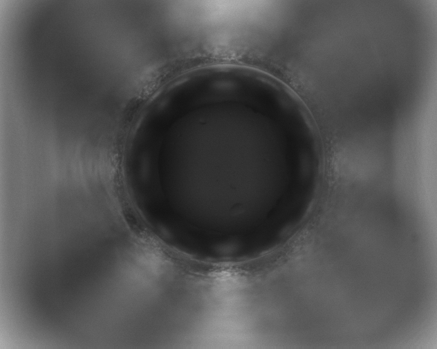 X0000054730693200508171852.png