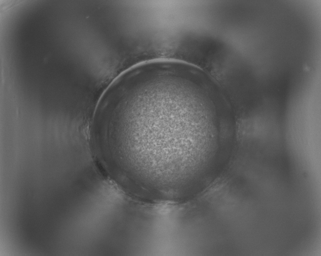 X0000054110286200508022107.png