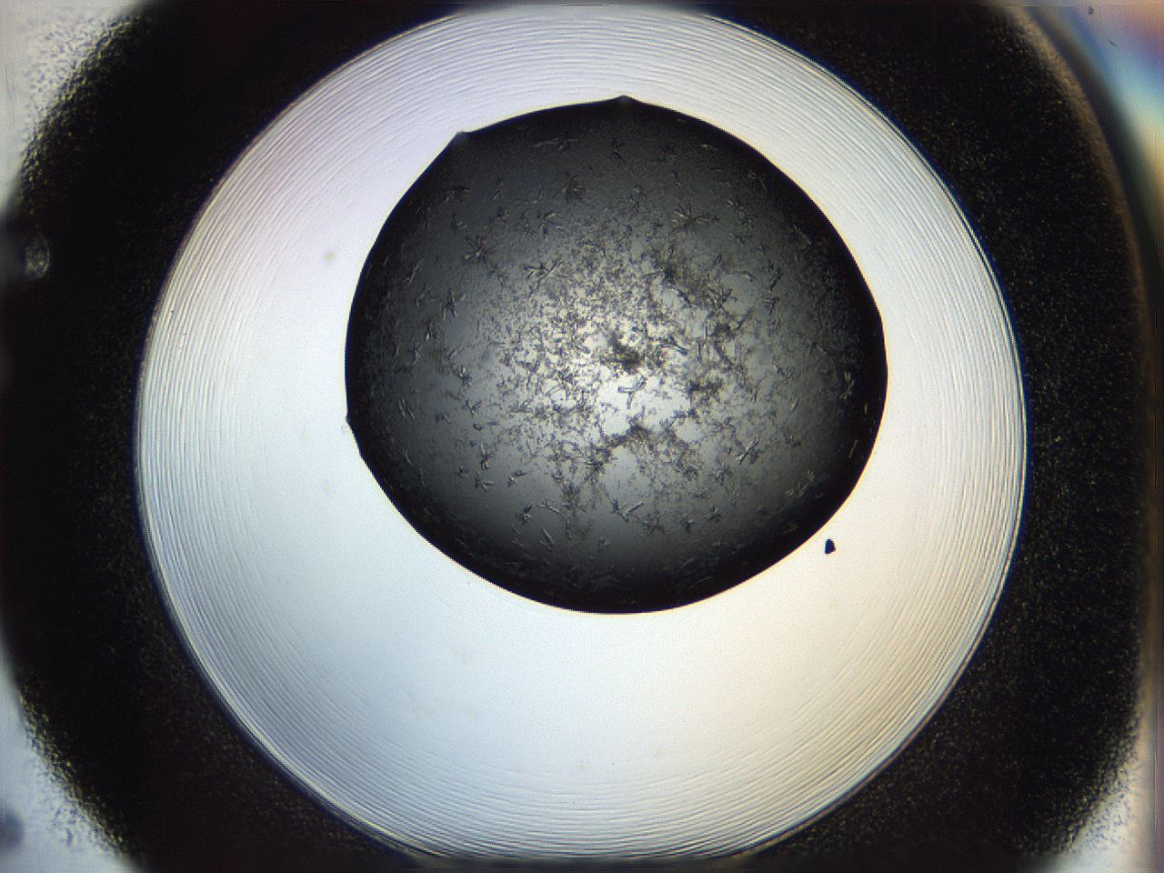 05dn_F5_ImagerDefaults_6.jpg