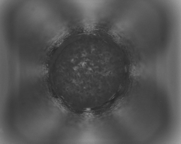 X0000038850519200410131831.png