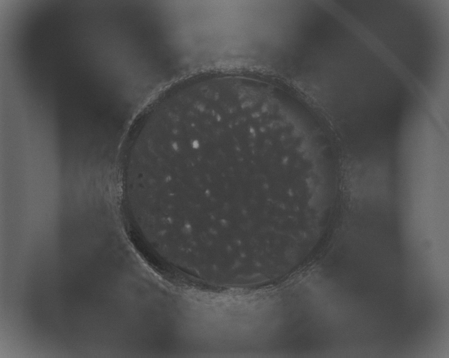 X0000052730016200507141557.png
