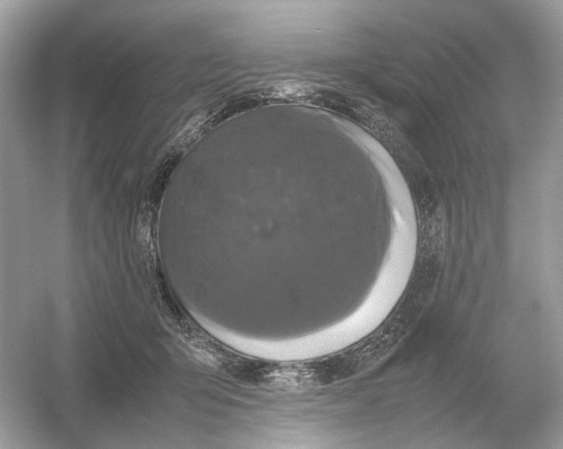 X0000054350415200508190133.png