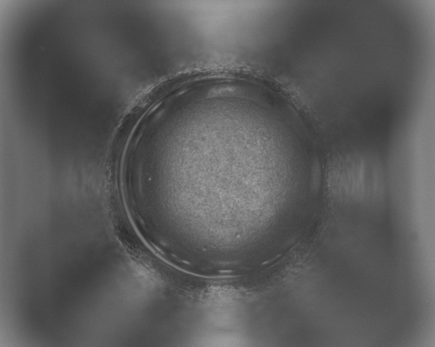 X0000052280636200507132029.png