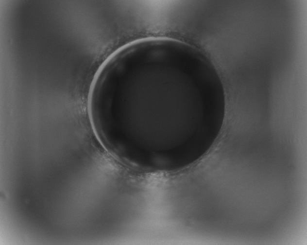 X0000054730384200508171858.png