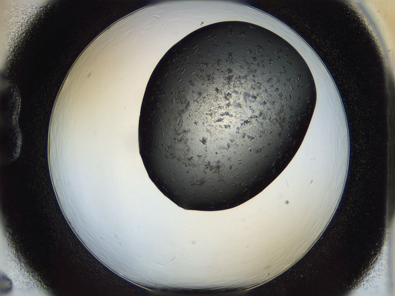 05dn_B6_ImagerDefaults_6.jpg