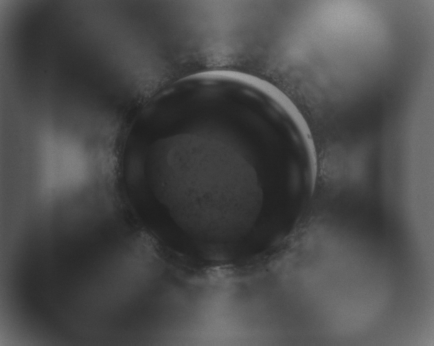 X0000048530219200503171519.png