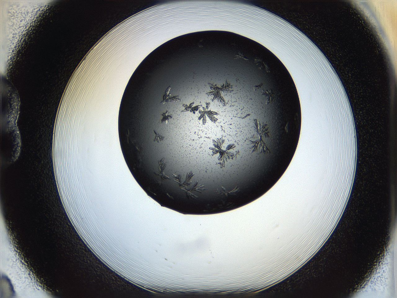 05dn_B8_ImagerDefaults_7.jpg