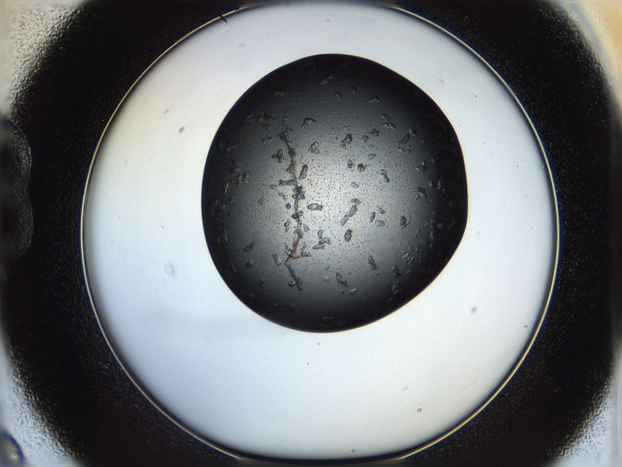 05dn_B9_ImagerDefaults_7.jpg