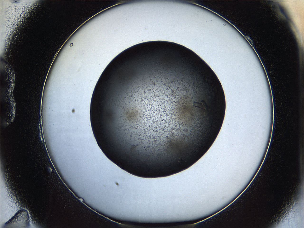 05dn_B11_ImagerDefaults_9.jpg