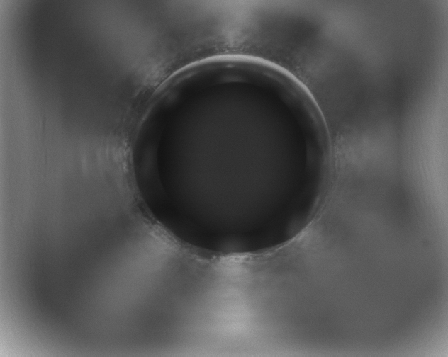 X0000054730188200508171901.png