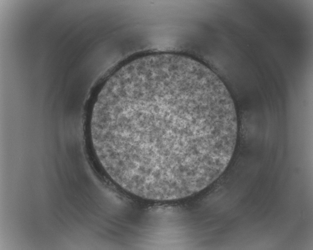 X0000053460730200508112156.png
