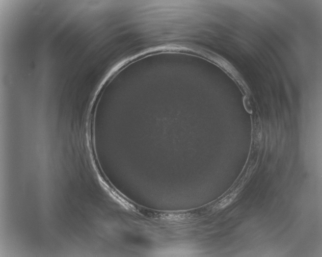 X0000055060958200508161642.png