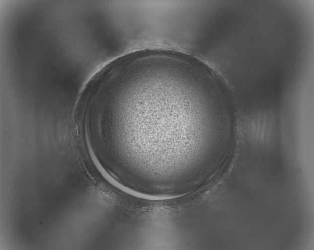 X0000052281070200507132022.png