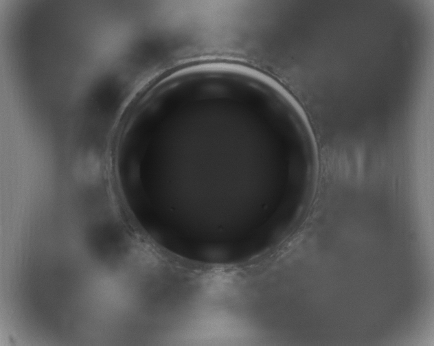 X0000054730148200508171901.png
