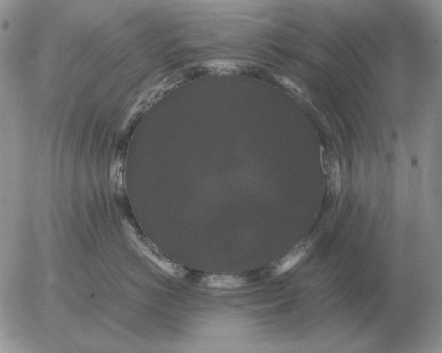 X0000054170766200508101759.png