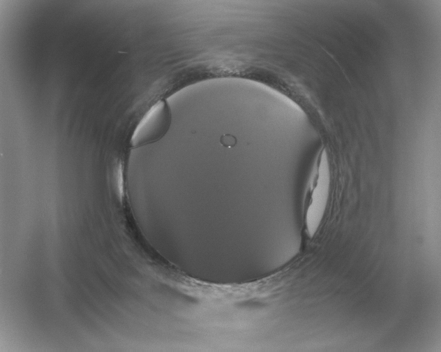 X0000054350027200508190140.png