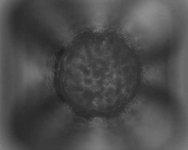 X0000047500230200503161521.png