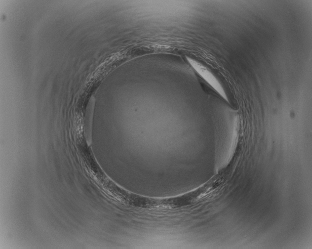 X0000054170593200508101801.png