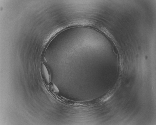 X0000054170434200508101803.png