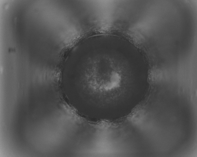 X0000038850284200410131836.png