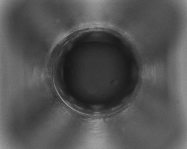 X0000054731261200508171842.png
