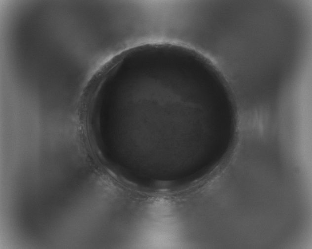 X0000054731263200508171842.png