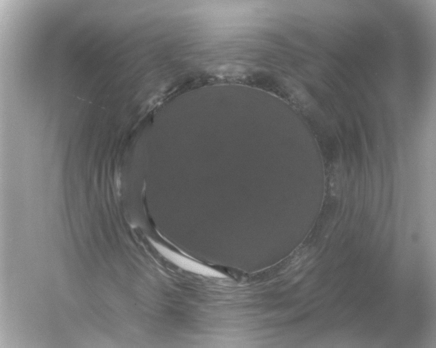 X0000054351298200508190117.png