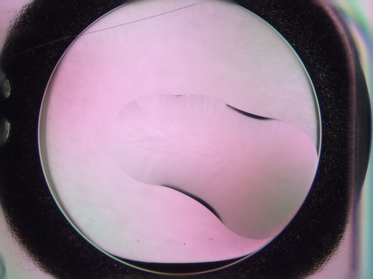 01gh_C2_ImagerDefaults_0.jpg