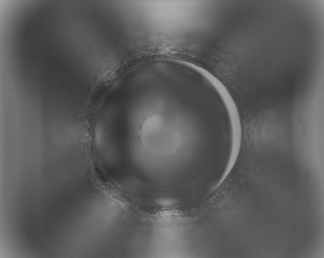 X0000052150415200507051956.png