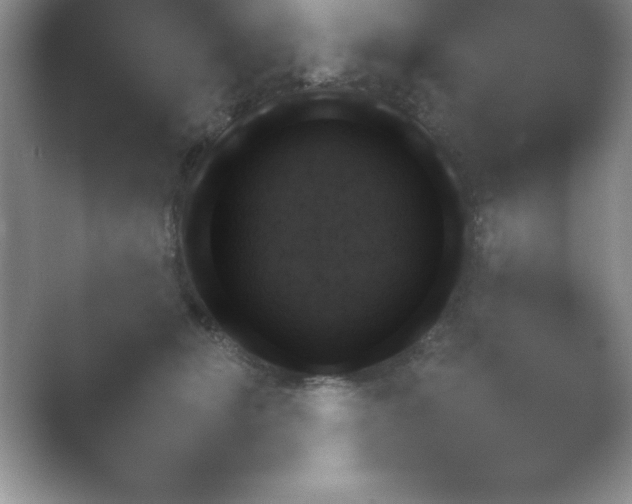 X0000054730510200508171855.png