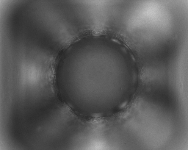X0000047170139200502141249.png