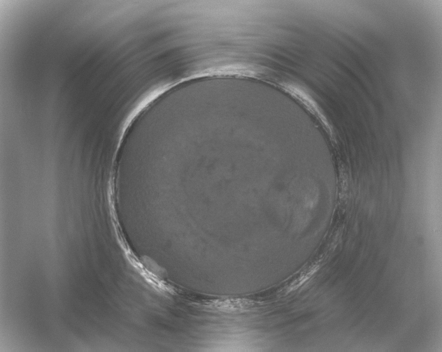 X0000054350952200508190125.png