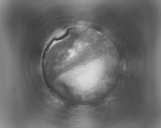 X0000054270292200508261923.png