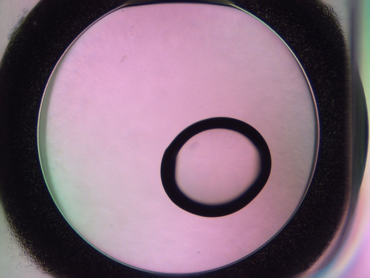01gh_C1_ImagerDefaults_0.jpg