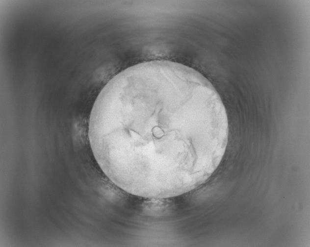 X0000054270672200508261917.png