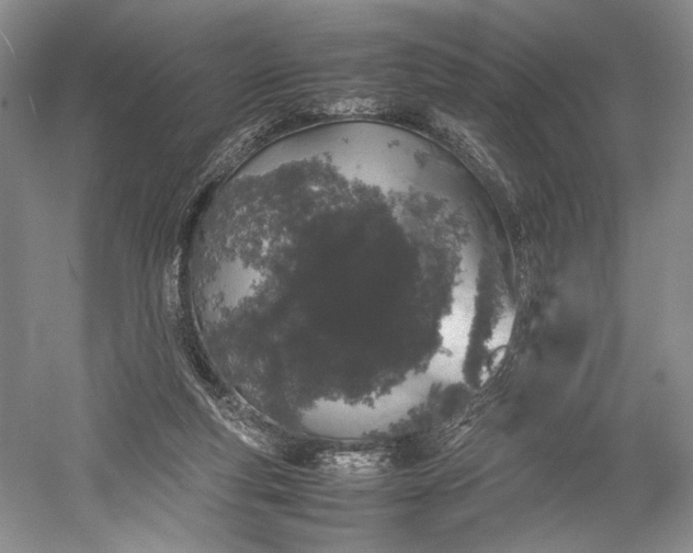 X0000055060163200508161655.png