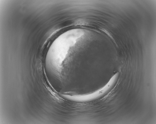 X0000054351115200508190121.png