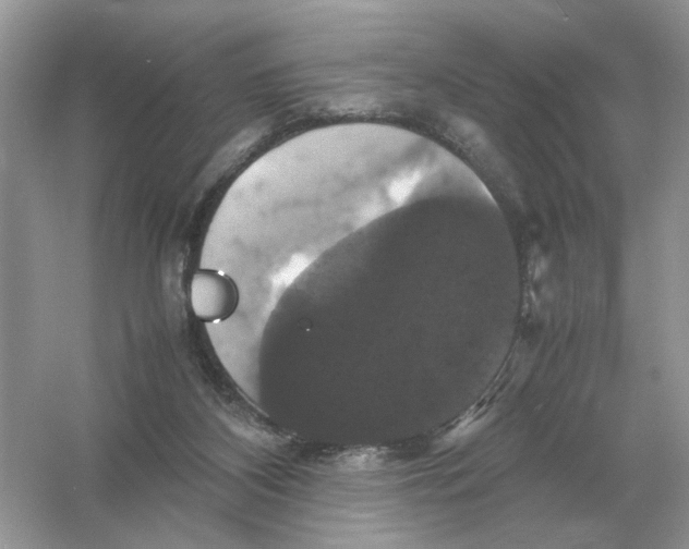 X0000054350116200508190138.png