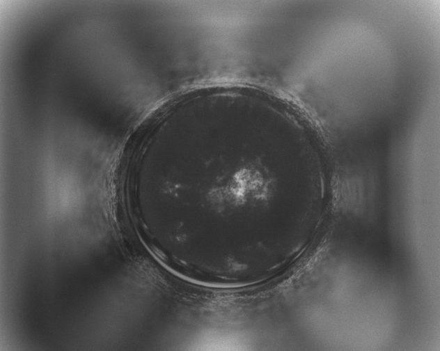 X0000045391162200501241355.png