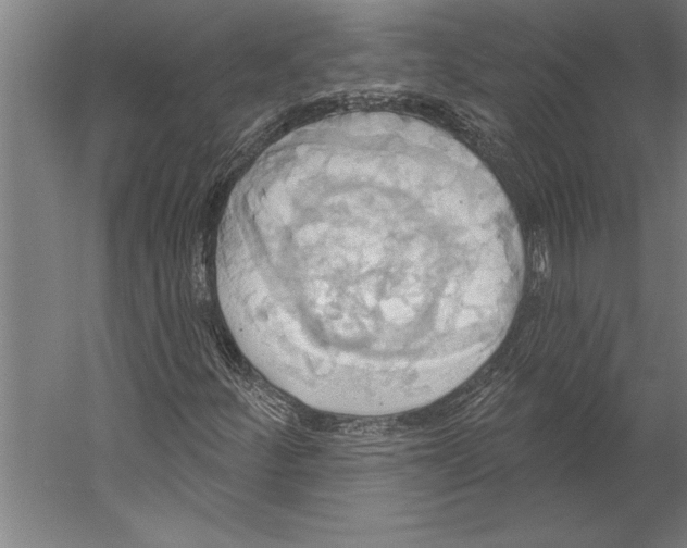 X0000055251252200509071606.png