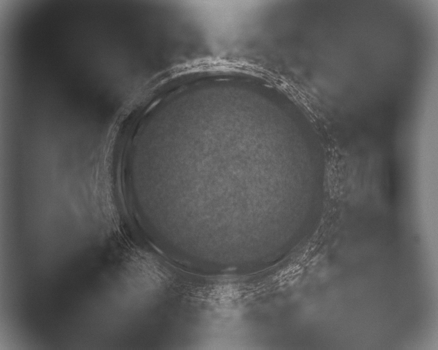 X0000052020295200507181633.png