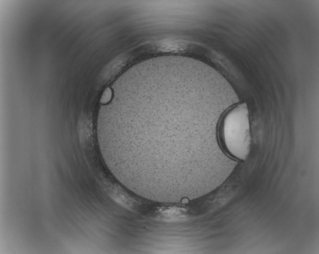 X0000053460407200508112202.png